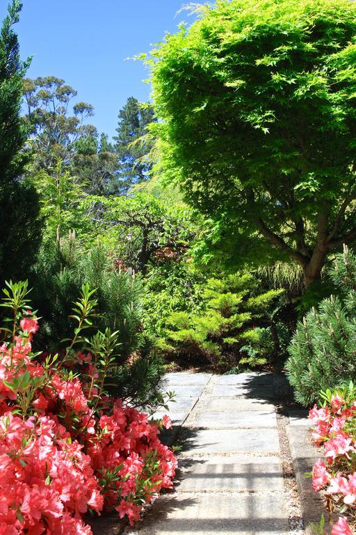 Winston Cottage At Three Sisters Katoomba Eksteriør bilde