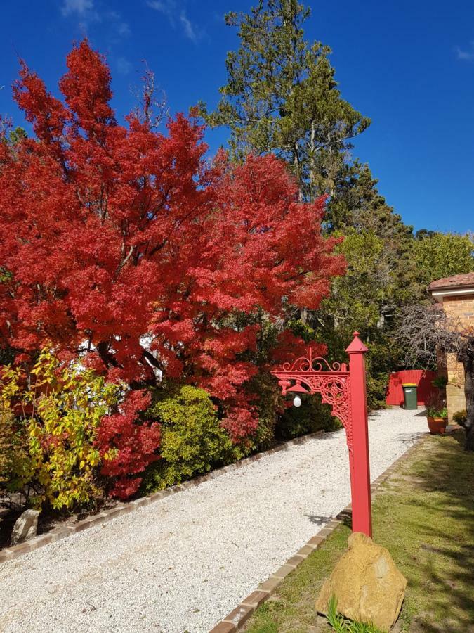 Winston Cottage At Three Sisters Katoomba Eksteriør bilde